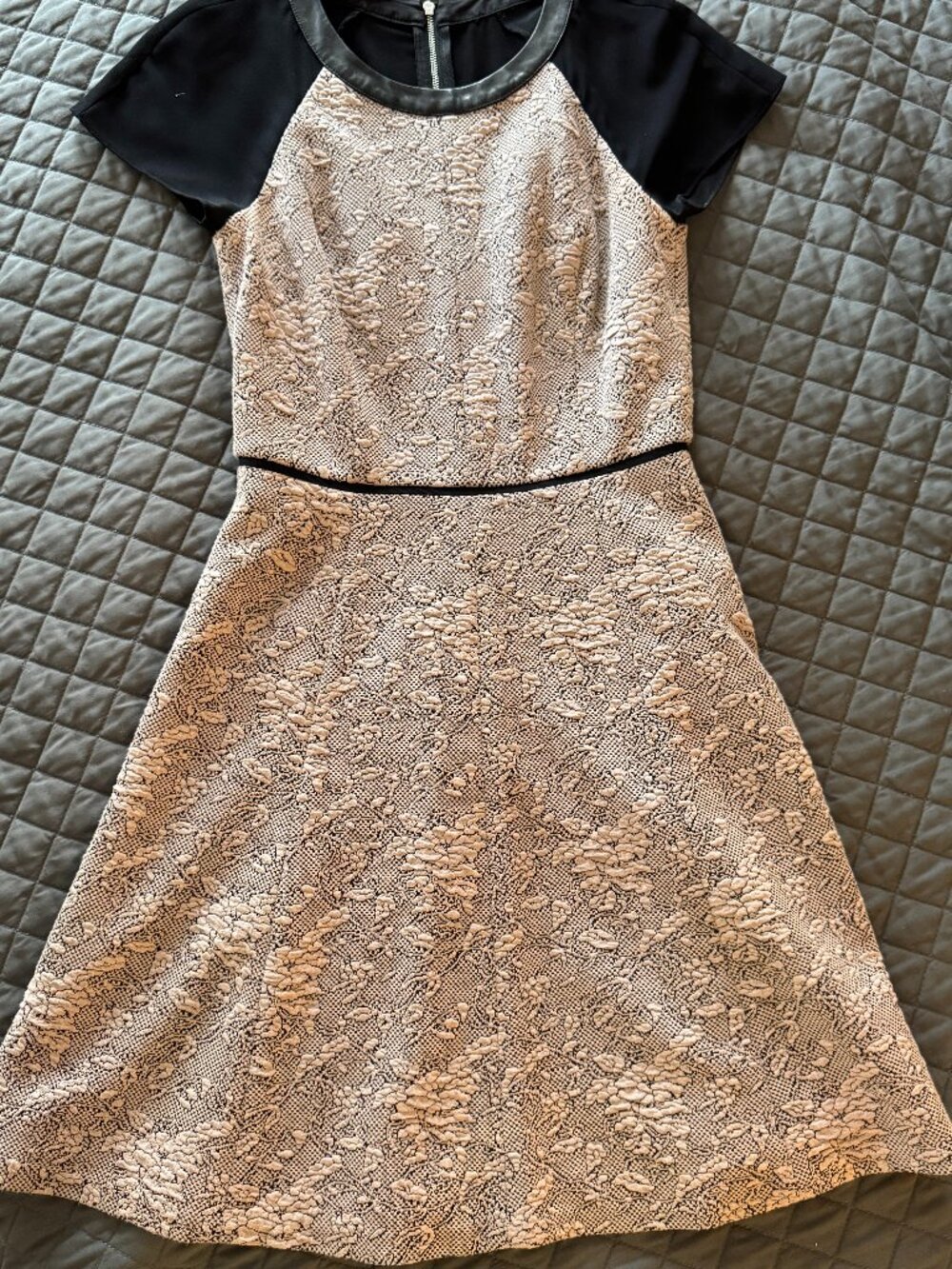 Rebecca Taylor Fit and Flare Dress